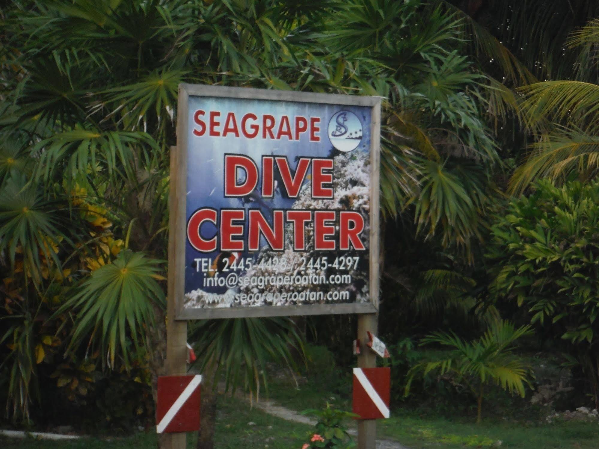 Seagrape Plantation Resort & Dive Center West End Eksteriør bilde